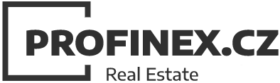 Primary Raster logo